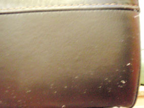 How To Repair Cat Scratches On Leather, Repair Cat Scratches On Leather Sofa